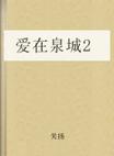 爱在泉城小说封面